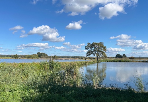 22-10-06 13-24-45 2426